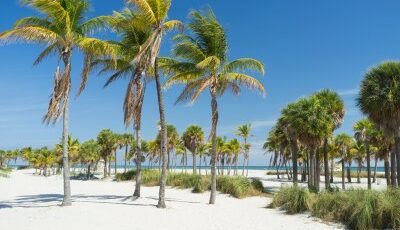 traumurlaub_florida_13190694_s